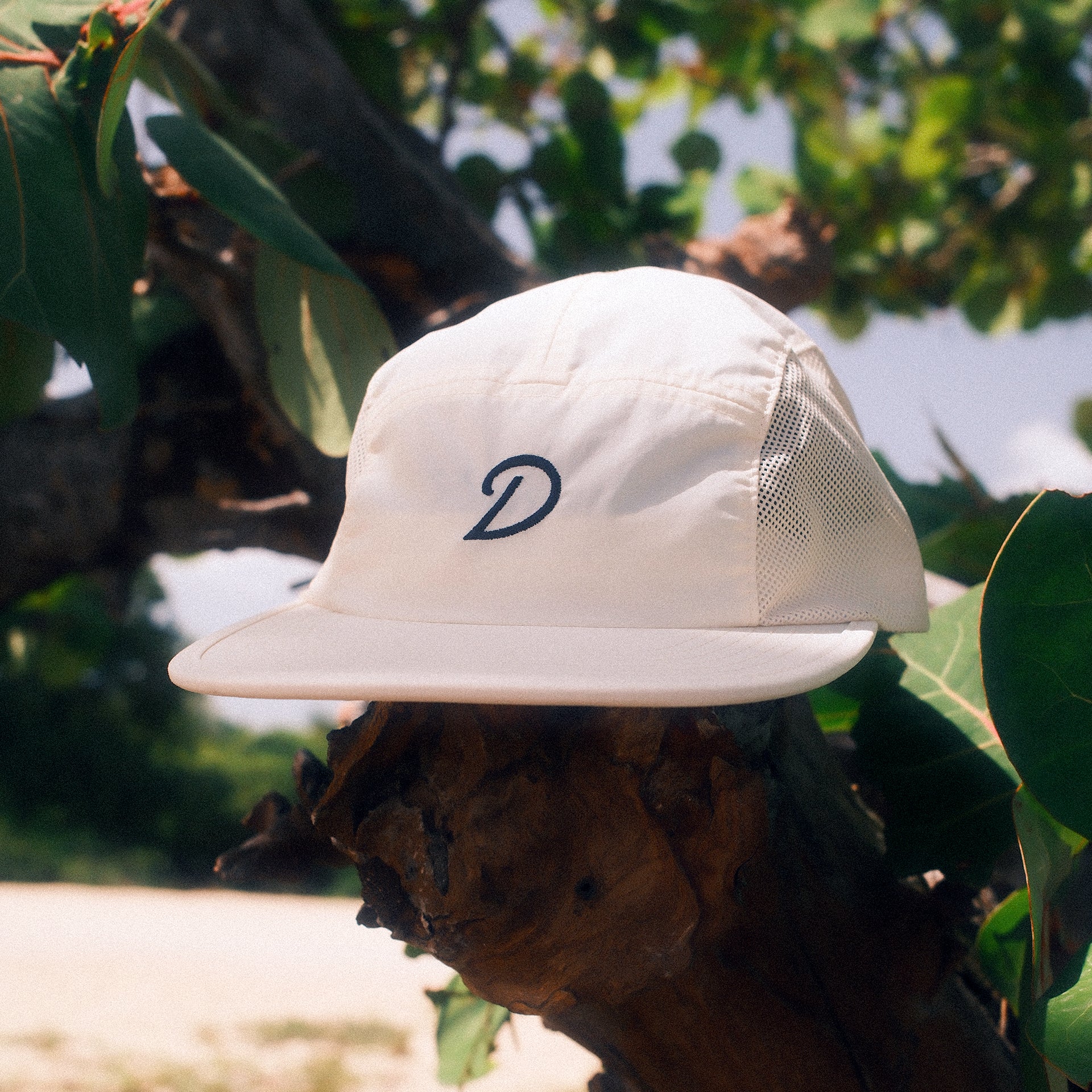 White cap with a capital D logo on a branch with green foliage in the background.